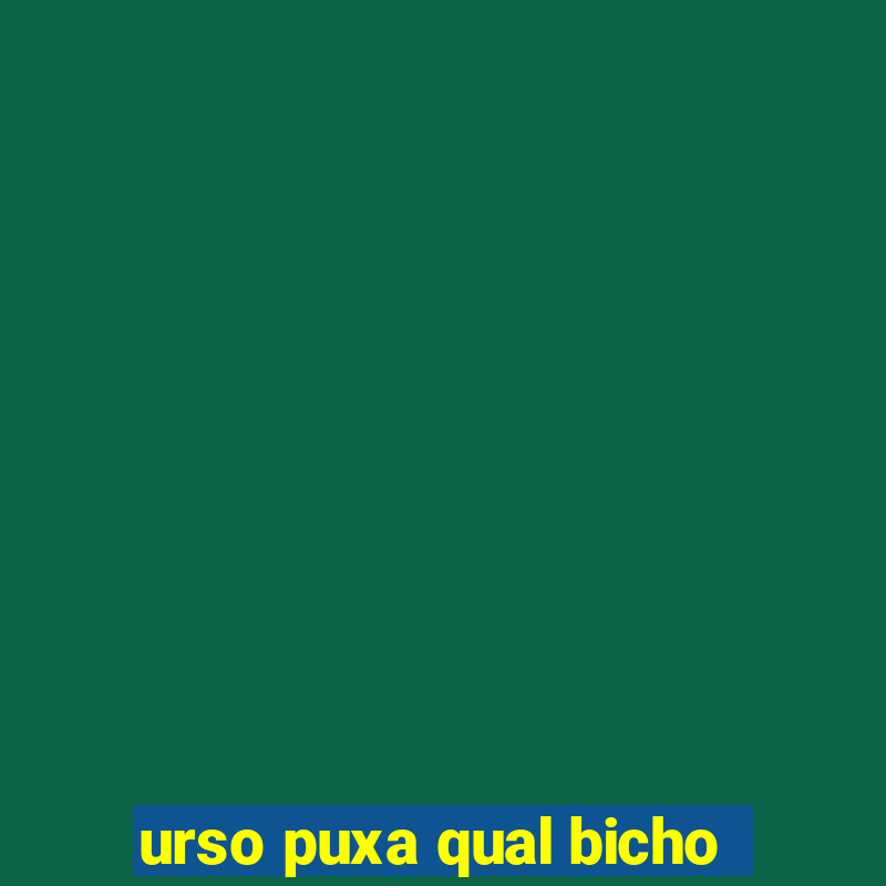 urso puxa qual bicho